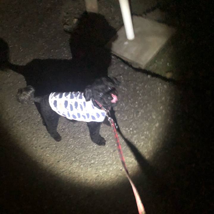 C215b9c8 6605 42a2 80e1 fbbd419b19af 1600650585173