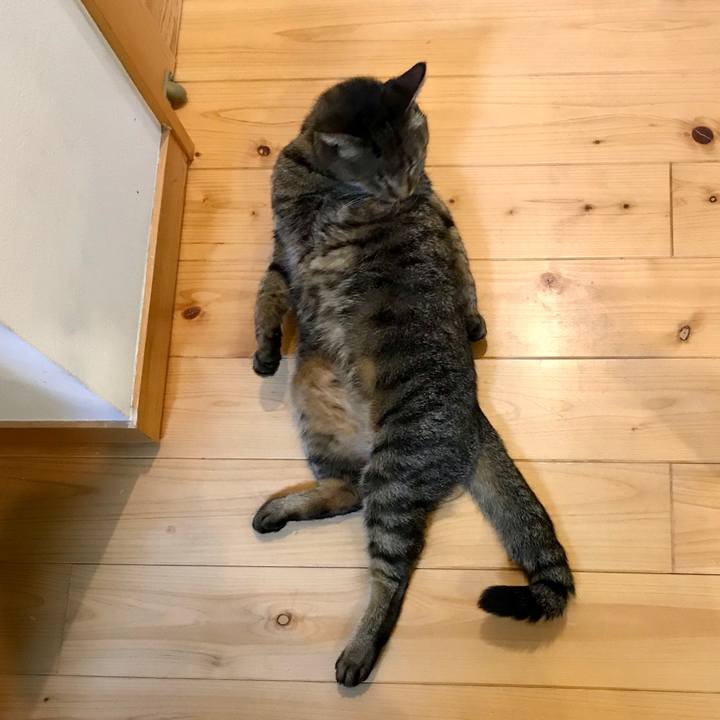 C215dcc8 5047 45e8 b2cc 2729a53d8b0c 1558095058762