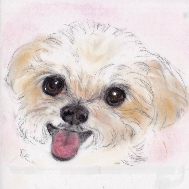 C215df1b 6af8 44fe 8421 96a0502fe3da 1686839192647