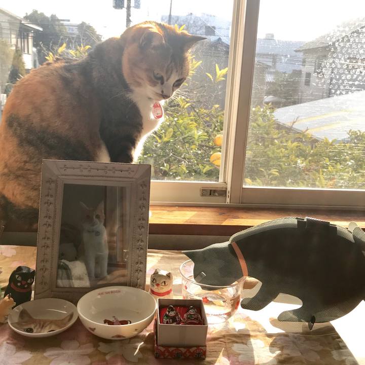 C216571f 1387 49d3 81ed b0107dcddd31 1517184669360