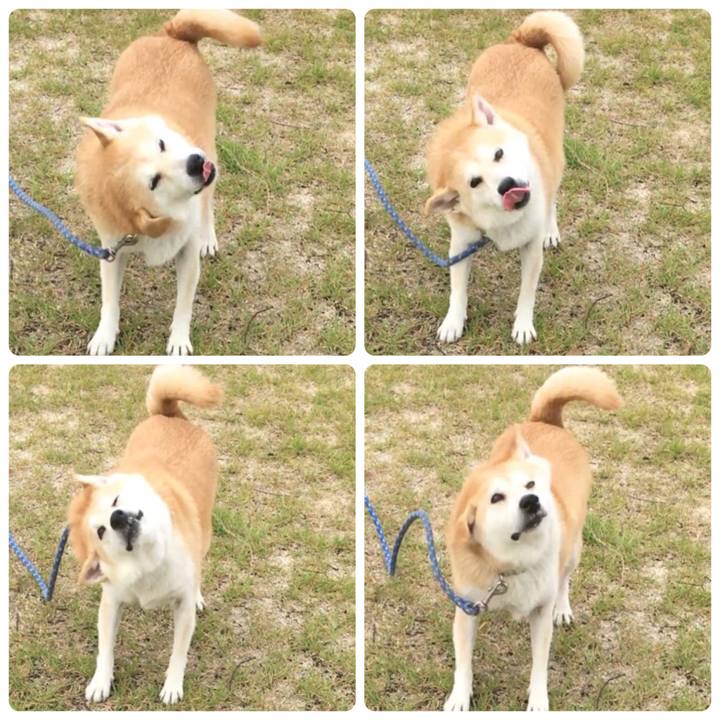 C2165ce3 0671 4076 af6a 3f74a46d9b1b 1526157105826