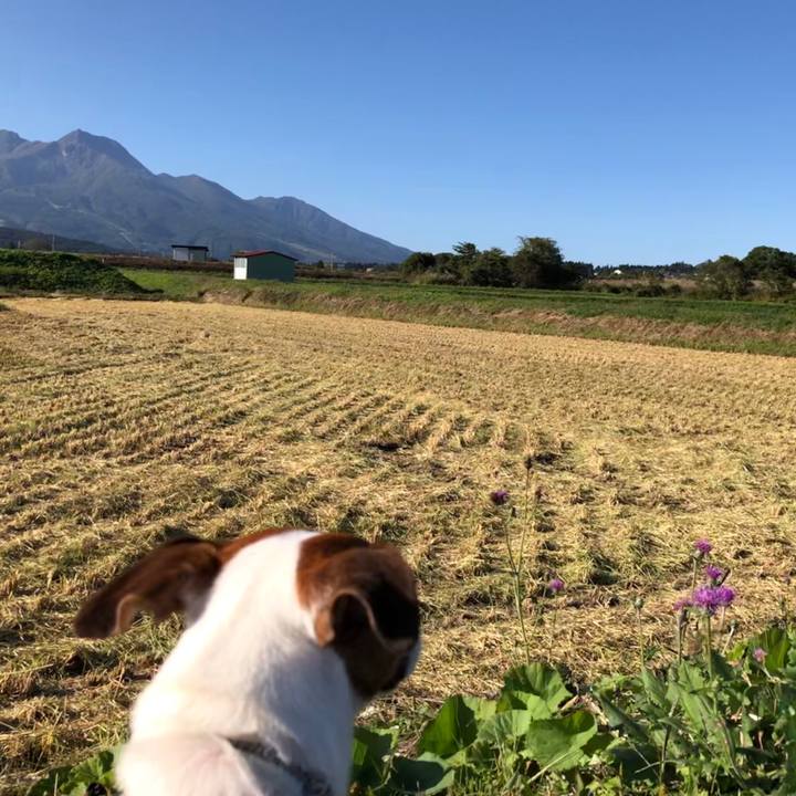 C21668f3 c95d 4296 803f e8ed59d15cab 1570622940437