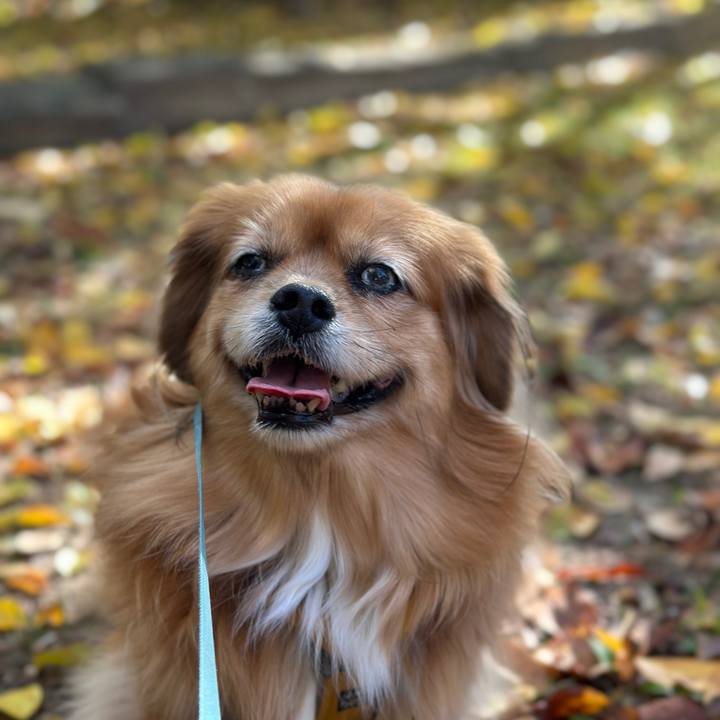 C216860b 7921 4957 ab67 8d7f7e514404 1763168927730