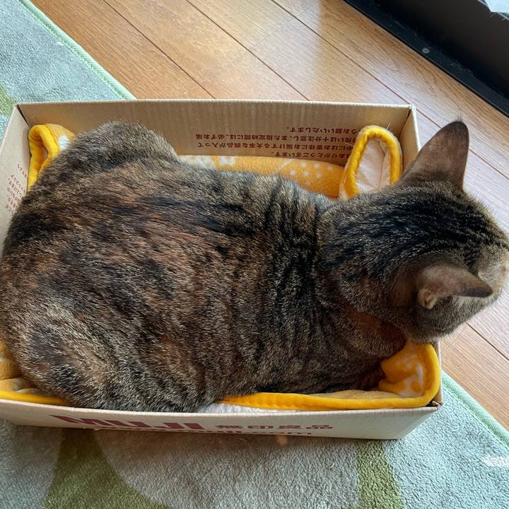 C216954f fe0f 4a33 8bdf a756d9bb5e38 1635205542807