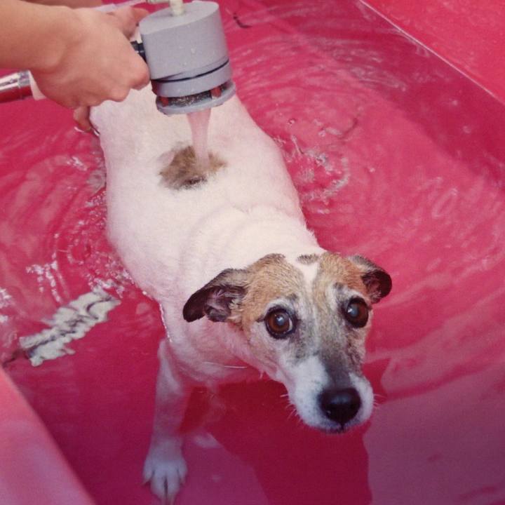 C216a960 0f9d 471c 8089 1e5c2420b413 1552179485382