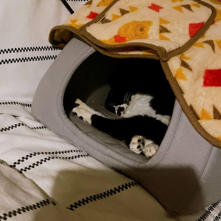 C216f3c0 846d 46f9 b7e6 1a4835ba6fa4 1669931741736