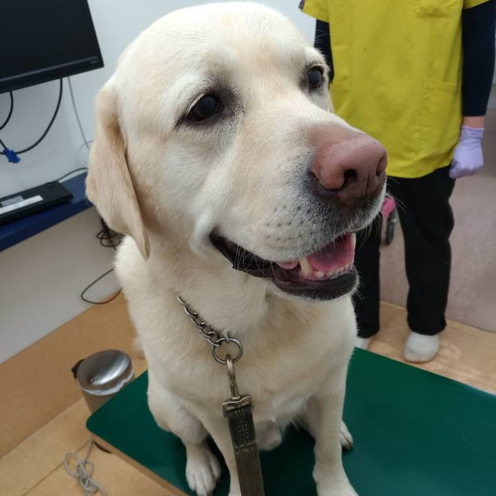 C216f9ac 8c14 4f12 8a55 ee30ae0bd92b 1615627598999