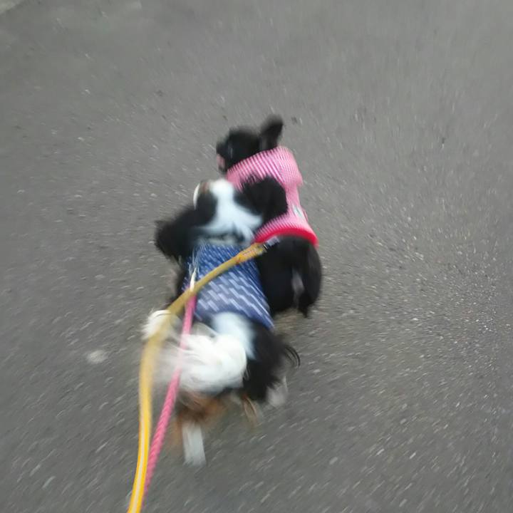 C21720ac b6f6 44d4 884a 43e71e0475db 1519636781824