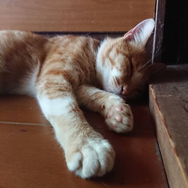 C21723f6 3818 4bd3 baef 9f2909e52d9c 1564903249644