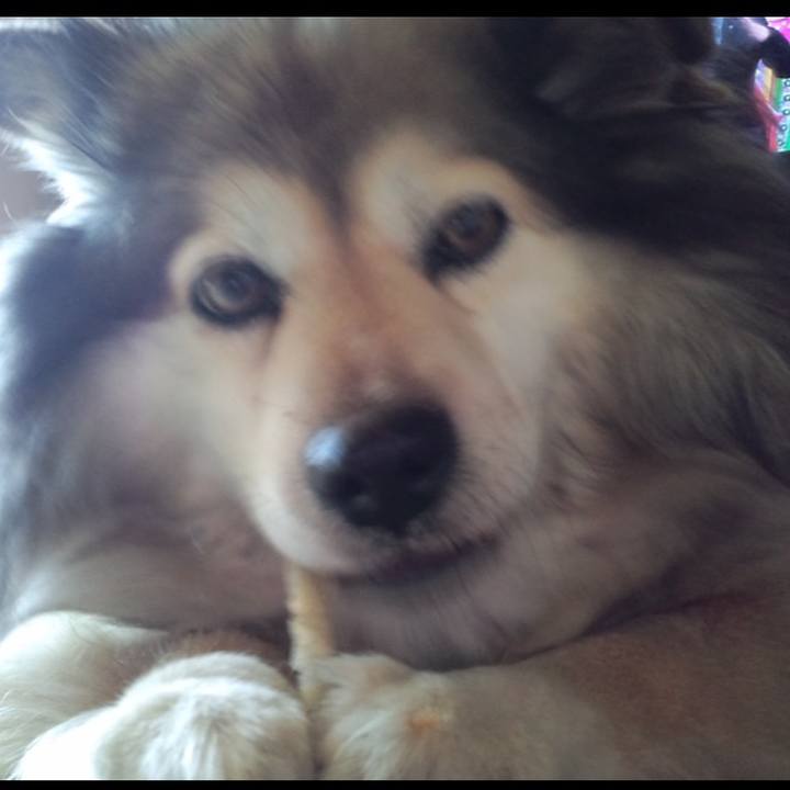 C2173be8 6da8 4fe8 91c4 d602b749705c 1621282189705