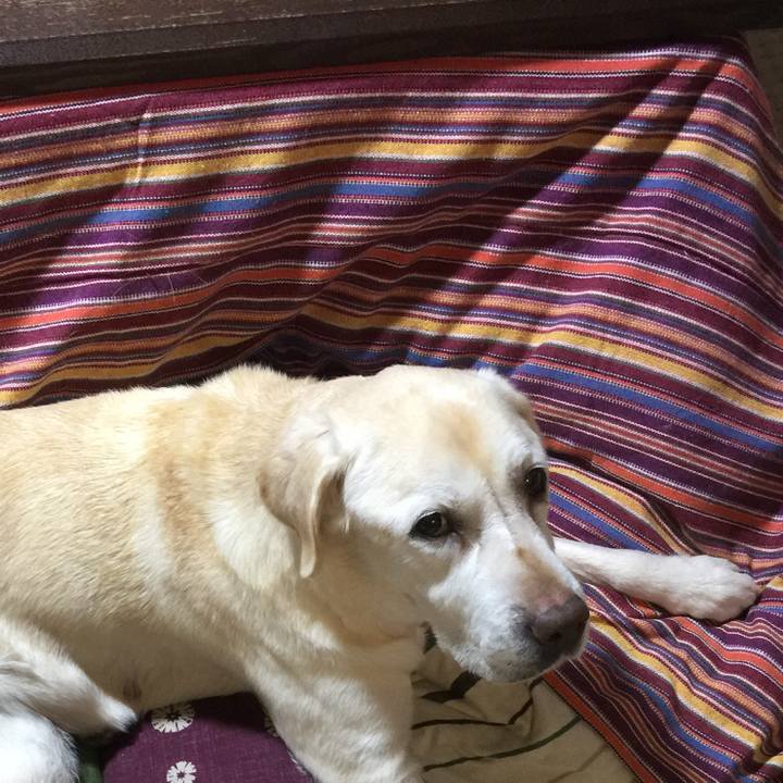 C2174197 4bd1 41dd 83ab 7790ded2ebfa 1549036551229