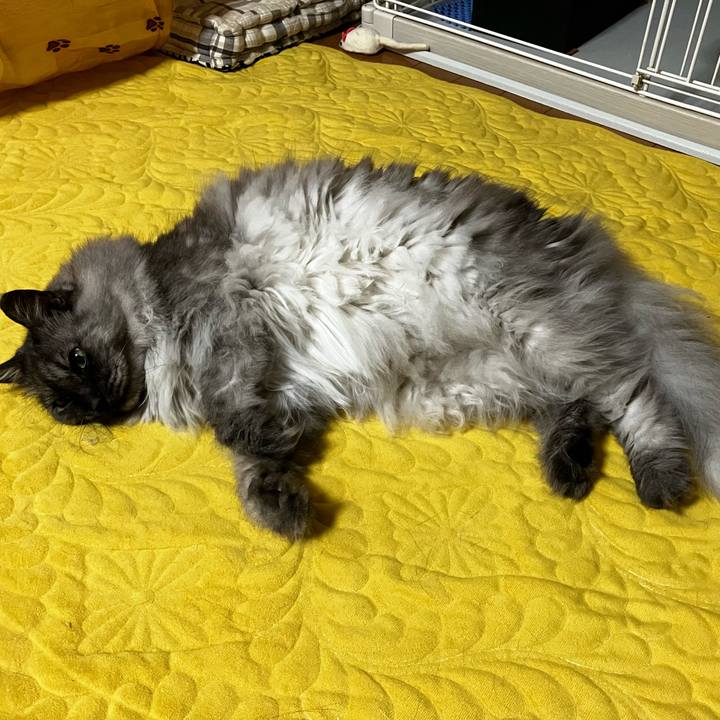 C21772c2 f85f 47e0 982c ce793131d10d 1753748007502