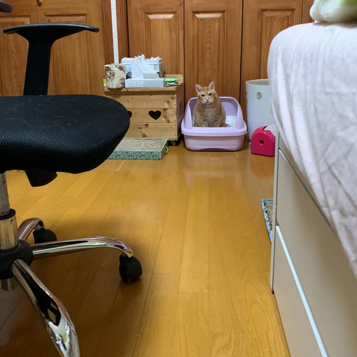 C217a8ab 0b5b 4909 acba 2ecea698ca92 1609037471815