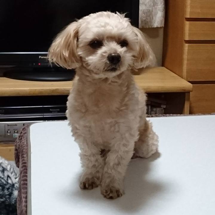 C217bd9b 8043 4ff1 b276 9b0029466d3f 1607214025965