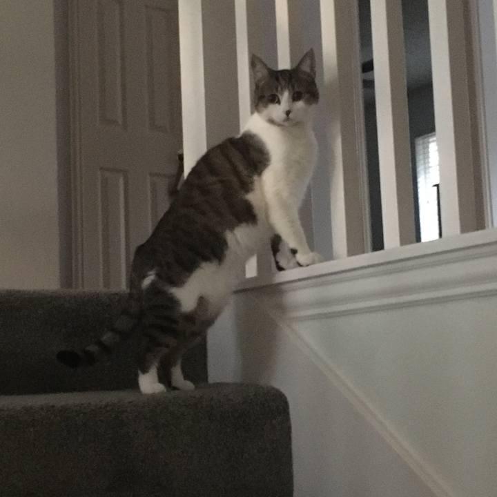 C217c045 e5bb 4fc3 8e42 fea2f3442084 1688259977475