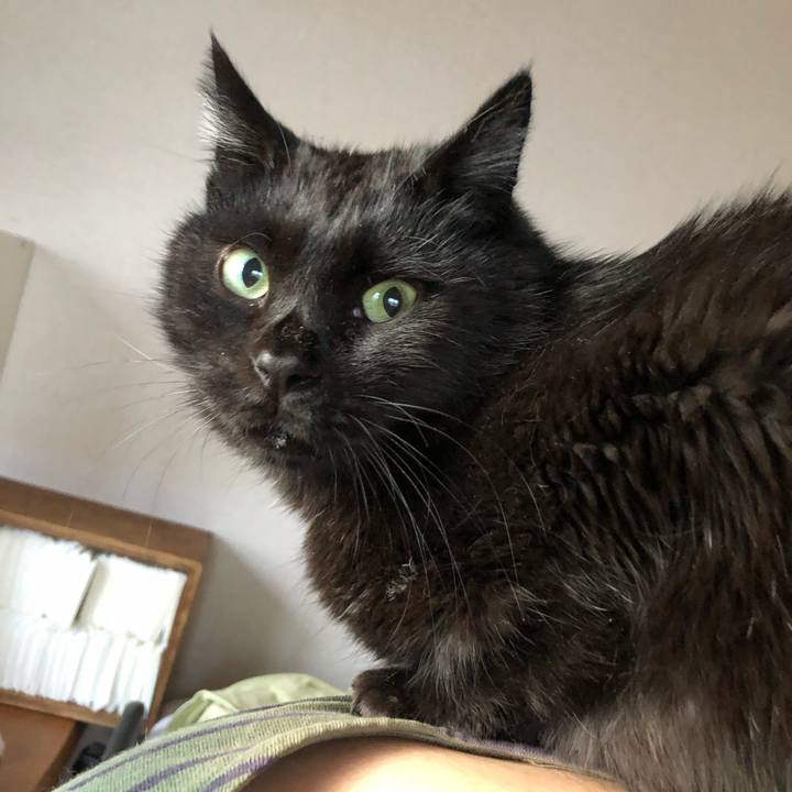 C217e954 1ab0 401d 9207 a27da88b623e 1604525430995