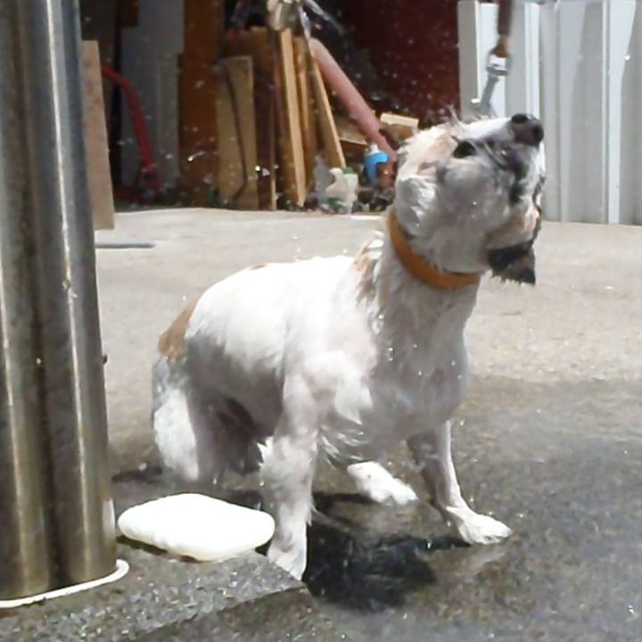 C217fc1e 99b0 4f1c 8ace 7dbac5ef906a 1526619706253