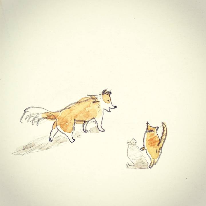 C2180021 3ce5 4caa abcb d82d178e3b61 1623049256926