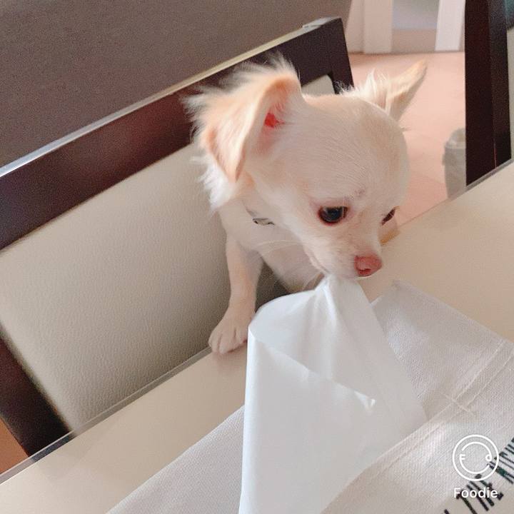 C21808ef b406 4ed5 a7bd 0c1062270349 1605875449592