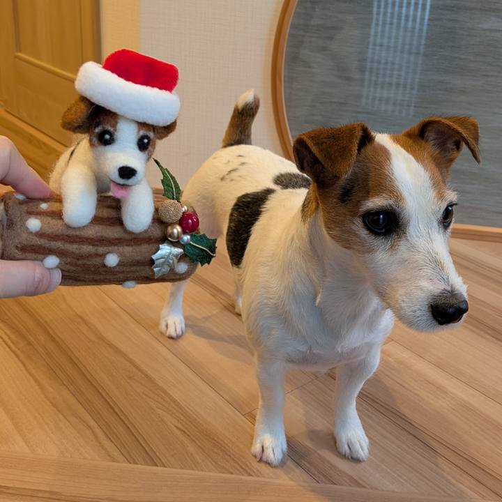 C218107e 0708 42aa 931c dcc82e6a3844 1766676034078