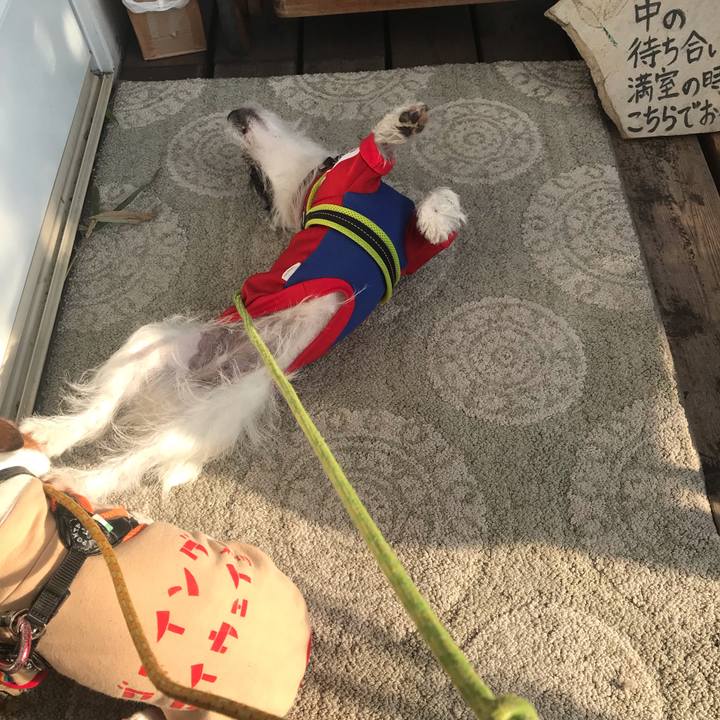 C2182a29 fd96 4ba4 ac44 2a118dc69dd8 1543366953033