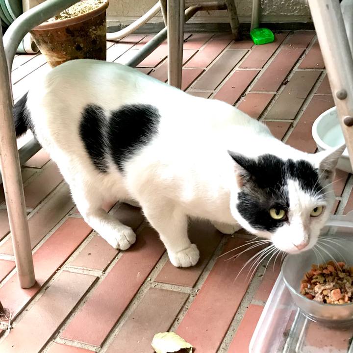 C2185dd1 d53e 4c50 930f 3ab74487a40f 1535355004176