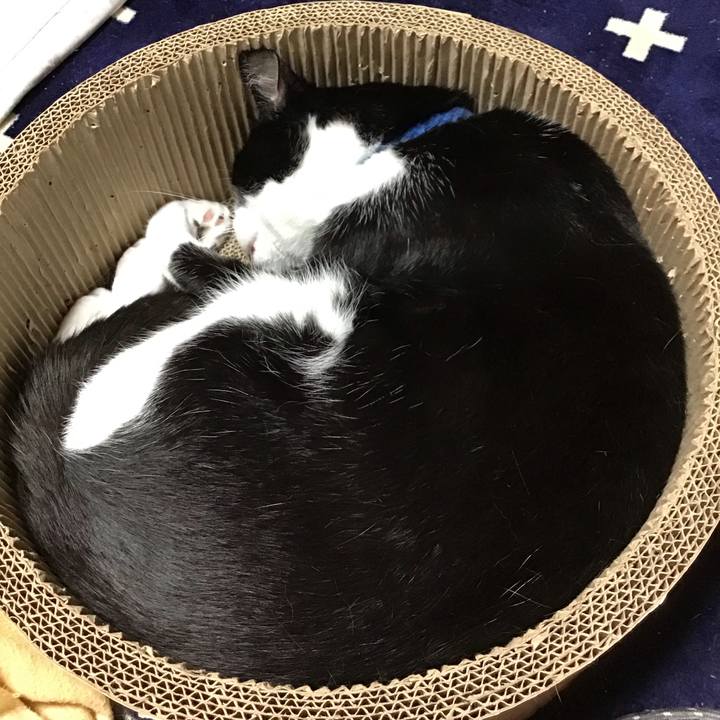 C218bf56 168b 4e98 90b3 1c7f4931af56 1717410570932