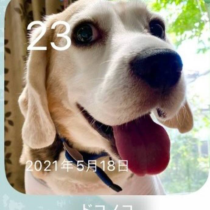 C218d584 a9e3 4f78 a932 4a9b5a309ed2 1716416834080