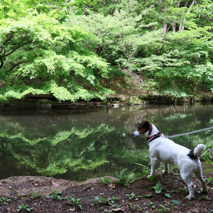 C219479d 4a65 49c4 9b0e d2671d219c4f 1558159239344