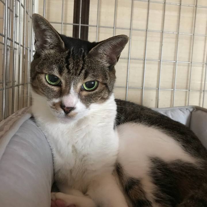 C2195385 1ae0 4043 b3b2 7d5ce16bc5d2 1536021339895