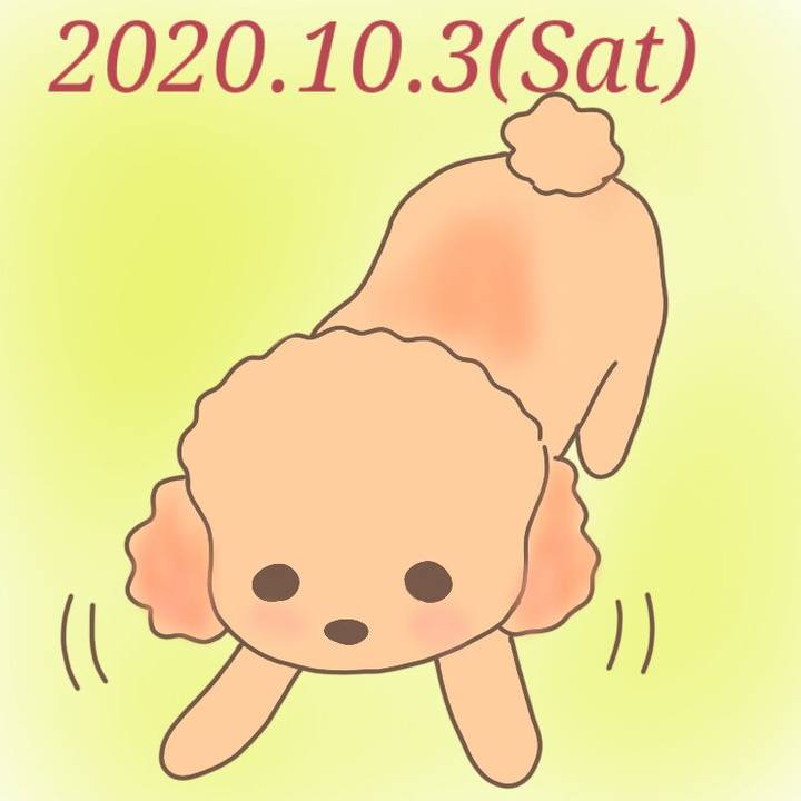 C219586b 413d 432e b4a6 a5aaaa99d580 1601728179192
