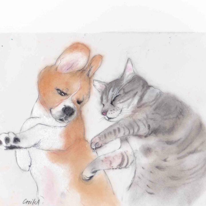 C21958c0 653f 4af9 a304 ab3b795b6be2 1592106040088