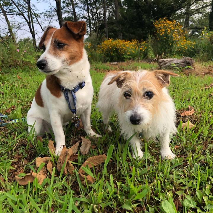 C2195d83 8b20 45cb a2c7 236afdb21827 1604902199822