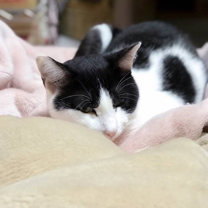 C2196ce6 135c 44c4 87bf b28860234c47 1510496396720