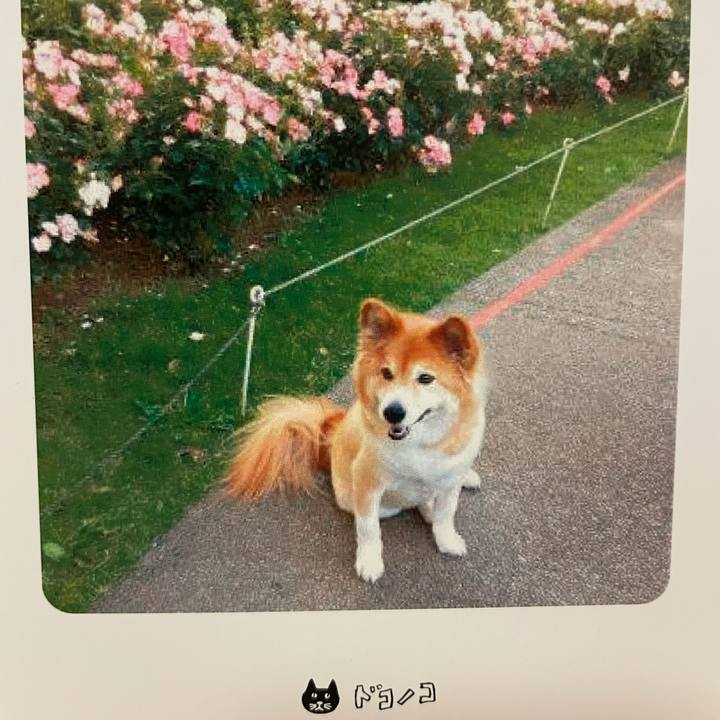 C2197534 5109 46ee 9cb3 2c4f76e60034 1620537327775