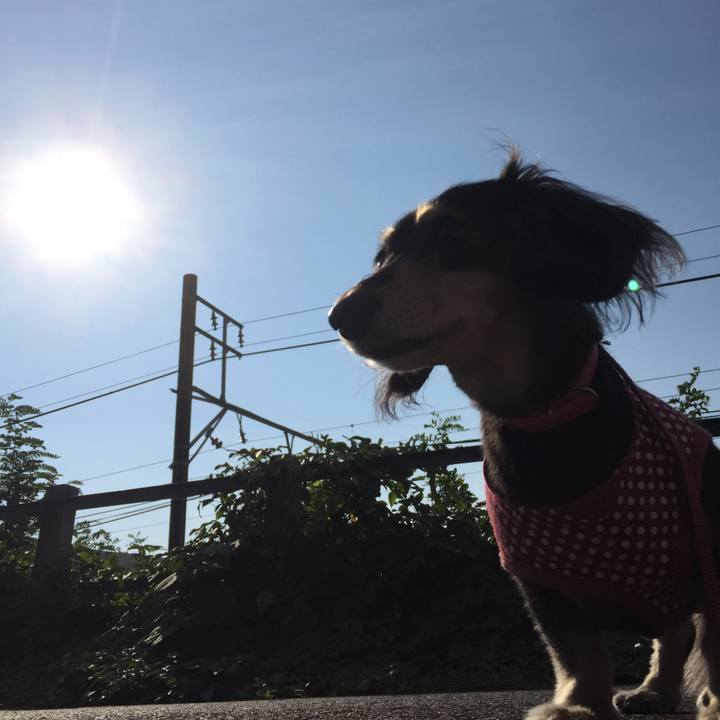 C219a885 e42d 4c84 a2a8 f25229400c3a 1539821095214