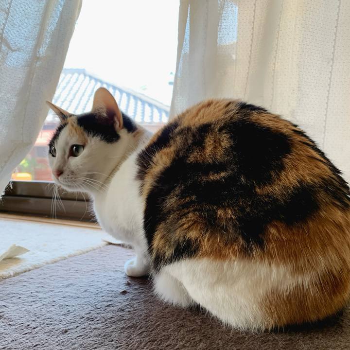 C219db46 c578 44ad 9540 5b7ac3e07e17 1584929518223