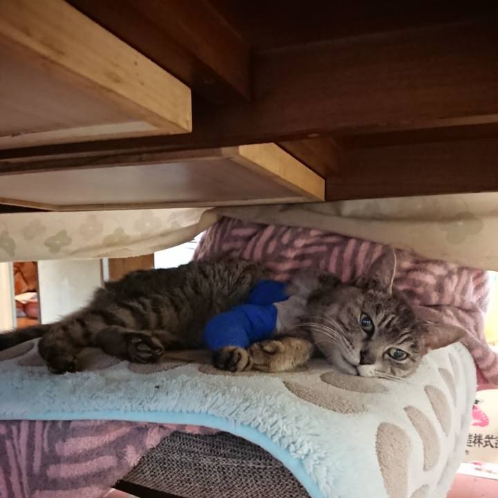 C219df17 ed42 4d4a 8456 7f3f9641fea4 1586944002051