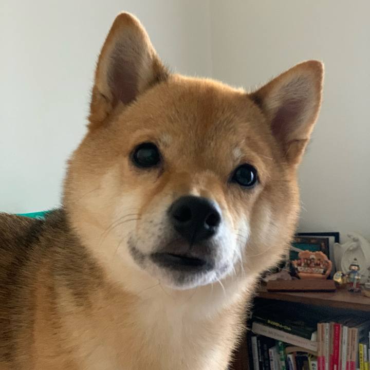 C219f035 dee7 428a 80c3 53c7a280a2b8 1764121951324