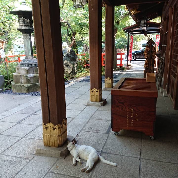 C21a0011 3f95 4e7e b53e 9e5c548a72fb 1630305591236