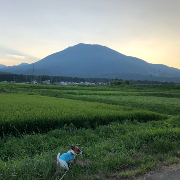 C21a02cc 8121 4bf6 89f0 7b4fefc62951 1597843185749