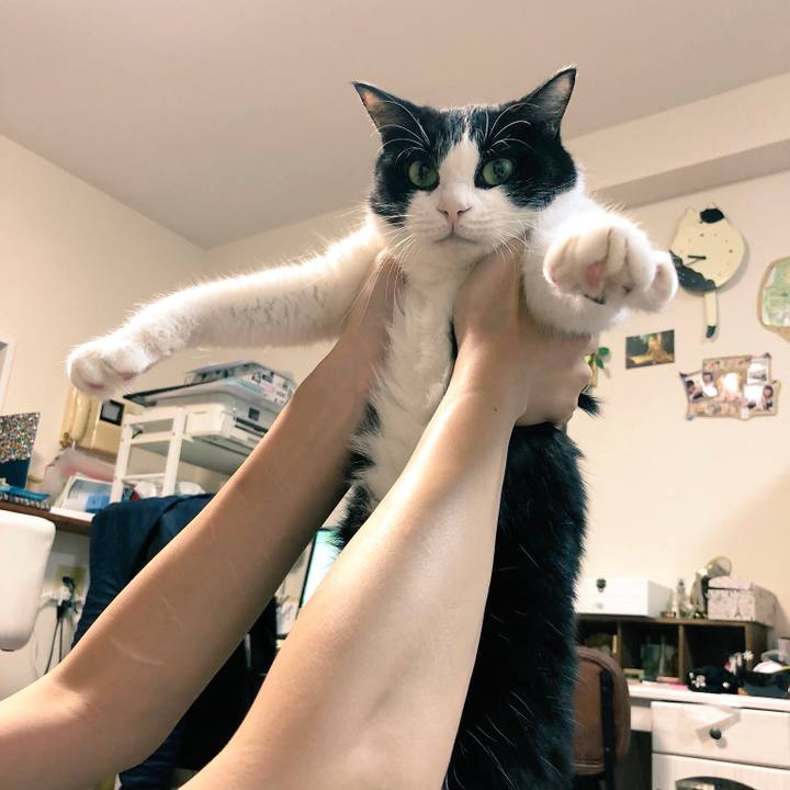 C21a0886 2889 491d 89da 1c9f58377da8 1535806179600