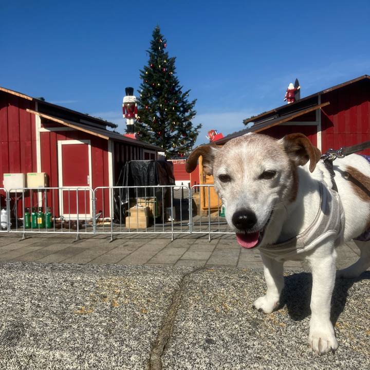 C21a1c96 21fa 4ece a53e 56fdf27b212b 1764017867636