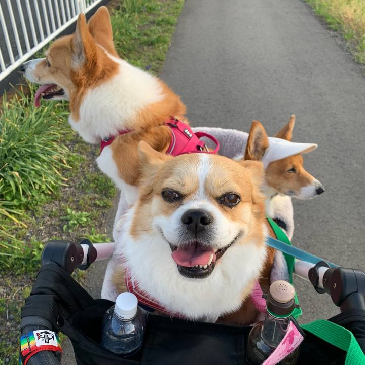 C21a4c45 10c2 478a 8bbc bfa11fd19cff 1680251085140