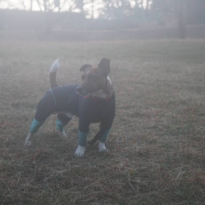 C21a5e91 2fa8 4bbe bda7 d5fd99bc5559 1516231478584