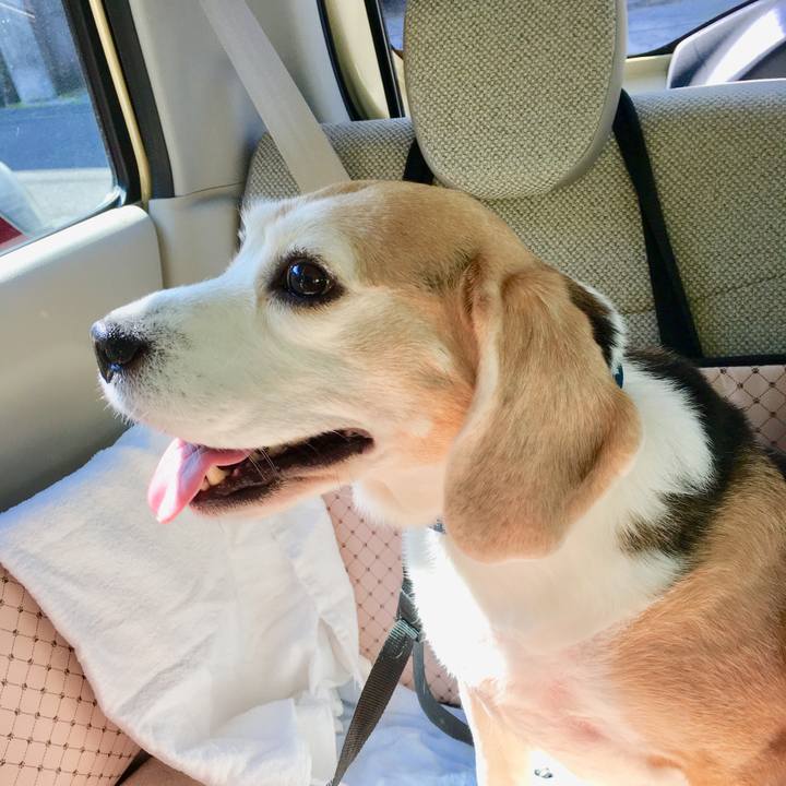 C21b04f0 5218 41e2 9d66 2d99d781fe0f 1552361981122