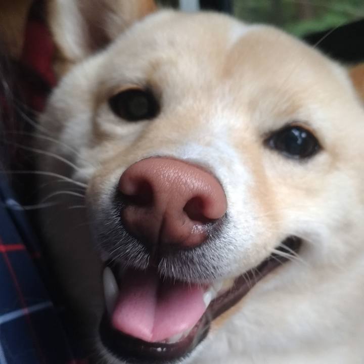 C21b2ea0 f0e9 47b5 8bb0 0b618a0d94a9 1526177254294