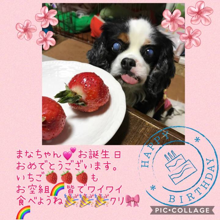 C21b3ddd c1fd 4571 a3fa 449cf8af4764 1558959406680