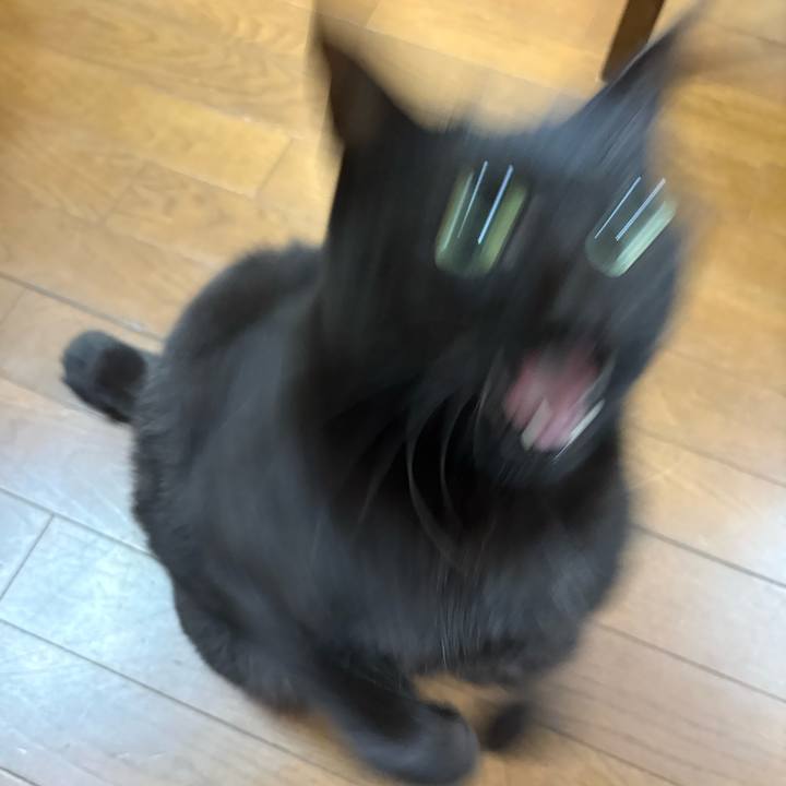 C21b8062 aac0 48dd 9f88 7a0f08ed68f4 1772852957533