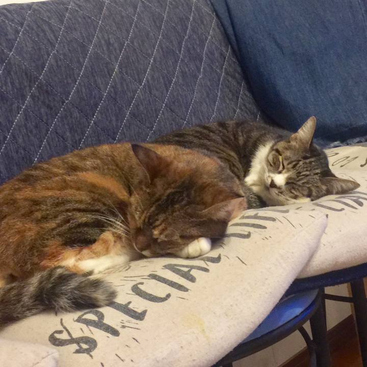 C21bcfb6 9743 4aef bed2 20874bbc5660 1573647247399